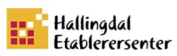 Logo Hallingdal etablerersenter.JPG